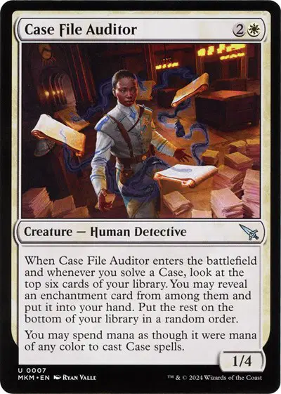 Case File Auditor