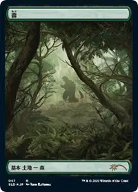 Forest