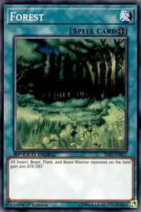 Forest