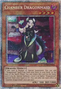 Chamber Dragonmaid