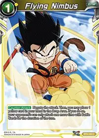 Flying Nimbus