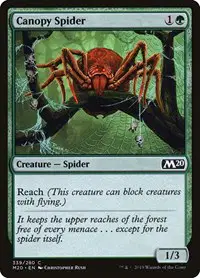 Canopy Spider