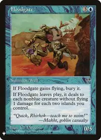 Floodgate