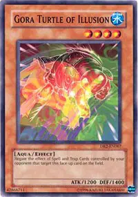 Gora Turtle of Illusion