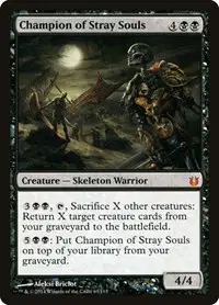Champion of Stray Souls