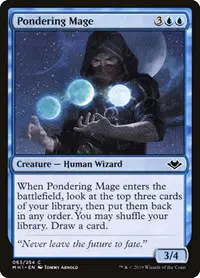 Pondering Mage