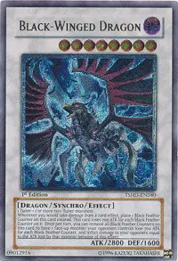 Black-Winged Dragon