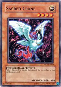Sacred Crane