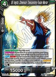 SS Vegito, Dimension Transcending Fusion Warrior