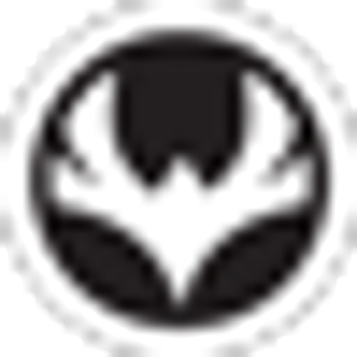 Logo Silver Tempest