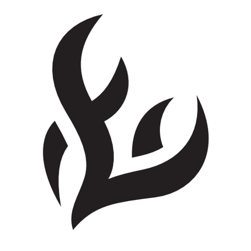 Logo Flashfire