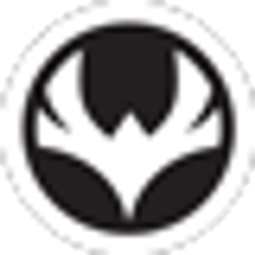 Logo Silver Tempest