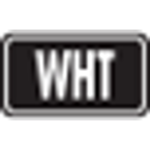 Logo White Flare