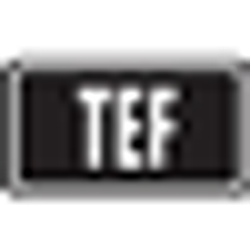 Logo Temporal Forces