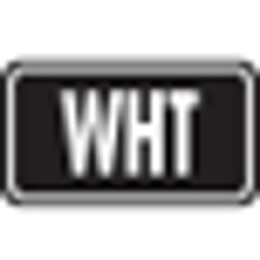 Logo White Flare