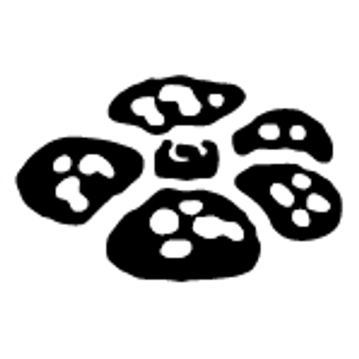 Logo Jungle