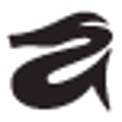 Logo Dragon Vault