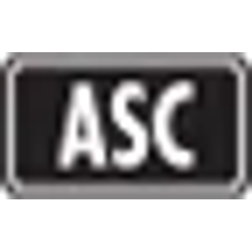 Logo Ascended Heroes