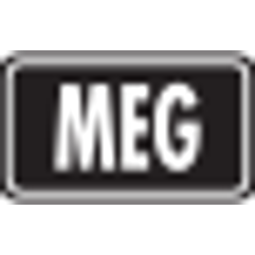 Logo Mega Evolution