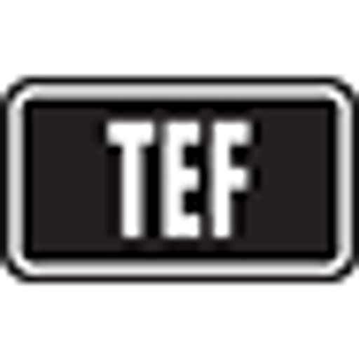 Logo Temporal Forces