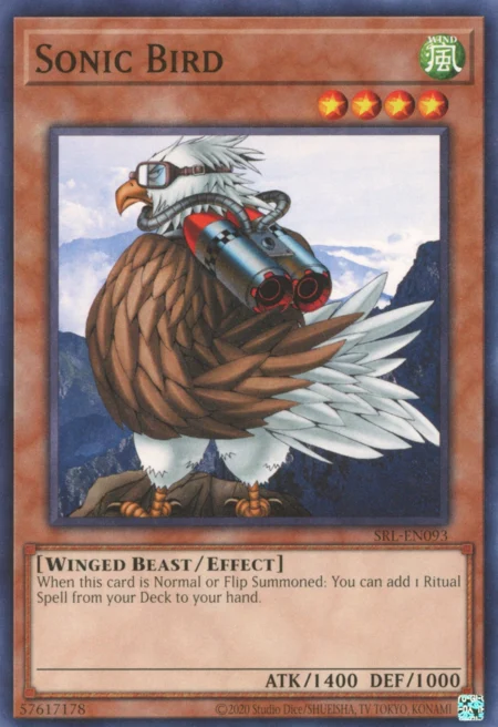 Sonic Bird