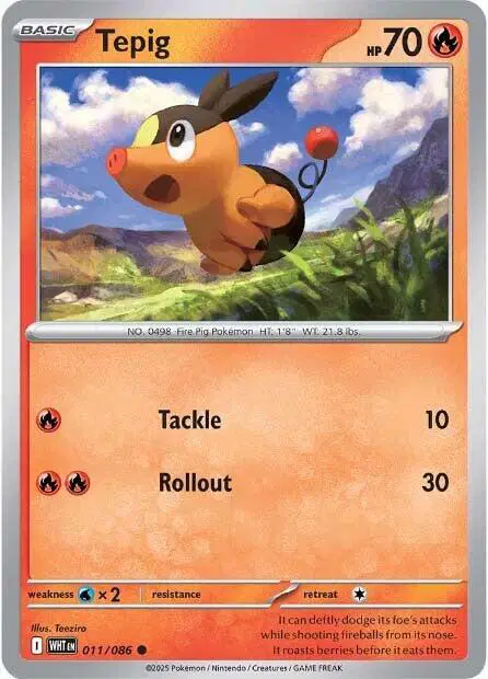 Auction card for Tepig