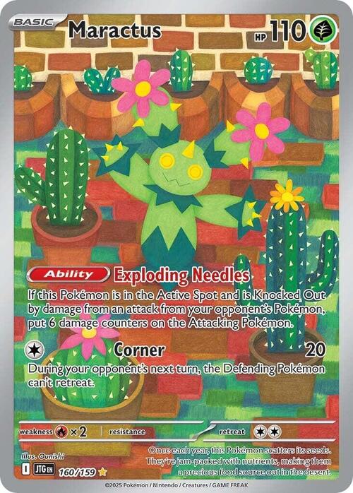 Maractus