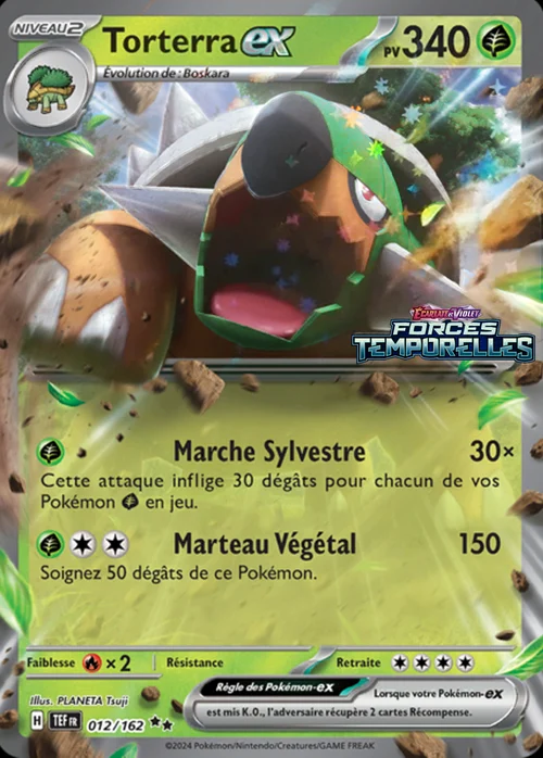 Torterra ex