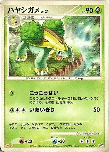 Grotle Lv.21