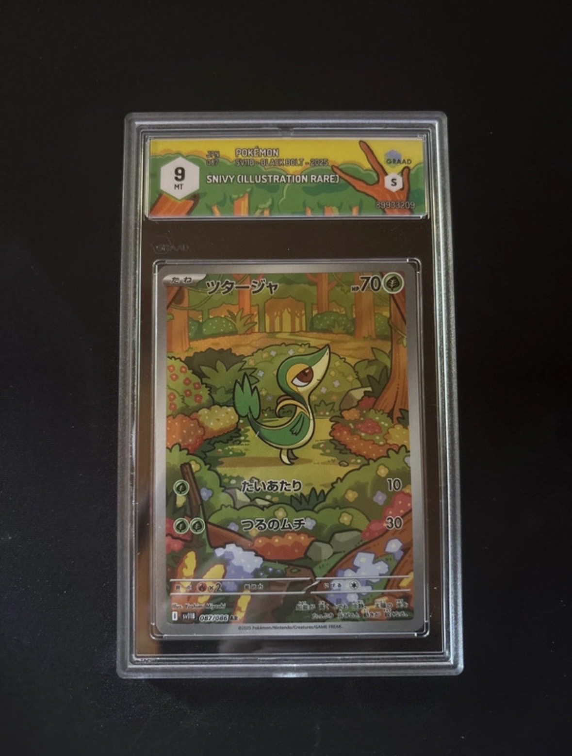 Auction Image 1